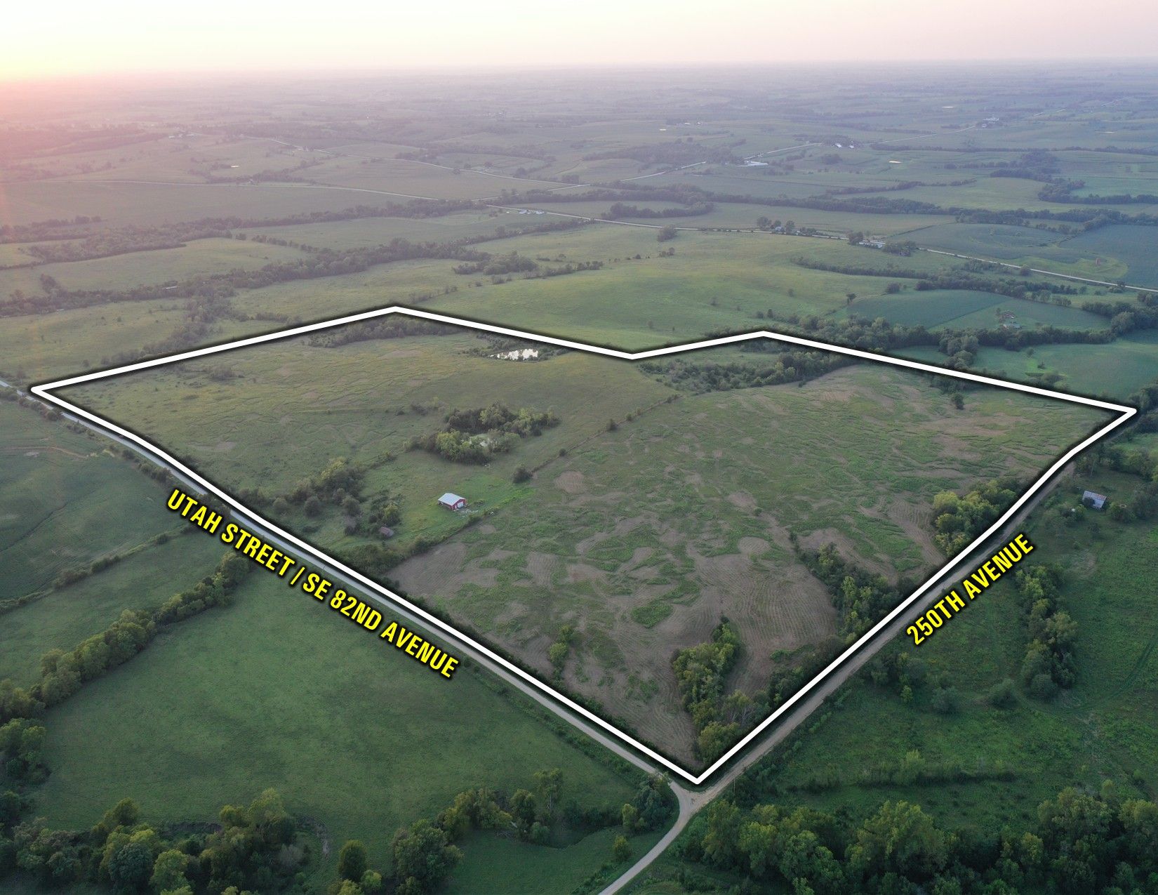 Listing #19701
